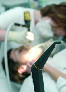 Auszubildende Gesucht